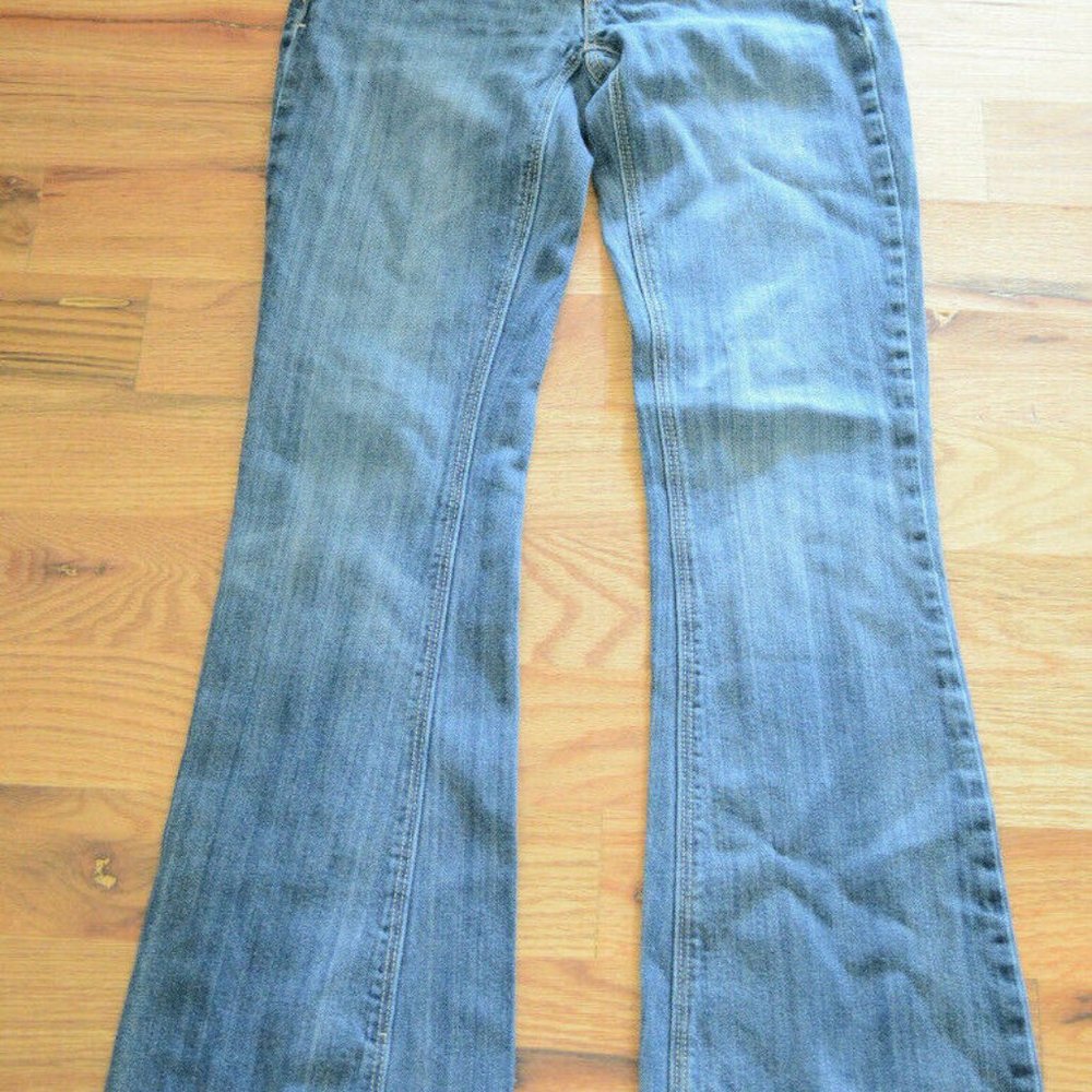 American Eagle Super Super Stretch Boho Artist Jea